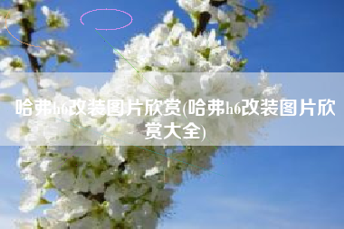 哈弗h6改装图片欣赏(哈弗h6改装图片欣赏大全)