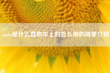 auto是什么意思车上的怎么用的简单介绍