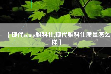 【现代equus雅科仕,现代雅科仕质量怎么样】