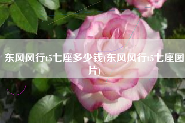 东风风行t5七座多少钱(东风风行t5七座图片) 东风风行t5七座多少钱(东风风行t5七座图片)