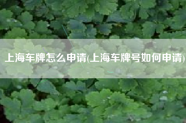 上海车牌怎么申请(上海车牌号如何申请)