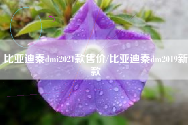 比亚迪秦dmi2021款售价/比亚迪秦dm2019新款 比亚迪秦dmi2021款售价/比亚迪秦dm2019新款