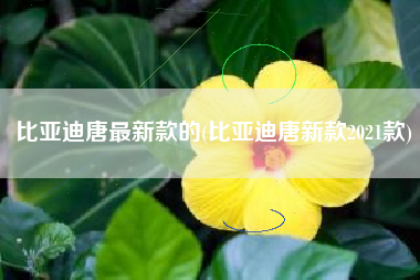 比亚迪唐最新款的(比亚迪唐新款2021款) 比亚迪唐最新款的(比亚迪唐新款2021款)