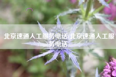 北京速通人工服务电话(北京速通人工服务电话)