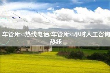 车管所24热线电话/车管所24小时人工咨询热线