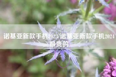 诺基亚新款手机2023/诺基亚新款手机2024最贵的 诺基亚新款手机2023/诺基亚新款手机2024最贵的
