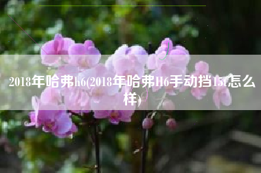2018年哈弗h6(2018年哈弗H6手动挡15t怎么样) 2018年哈弗h6(2018年哈弗H6手动挡15t怎么样)