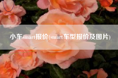 小车smart报价(smart车型报价及图片)