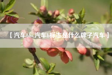 【汽车bbs,汽车b标志是什么牌子汽车】 【汽车bbs,汽车b标志是什么牌子汽车】