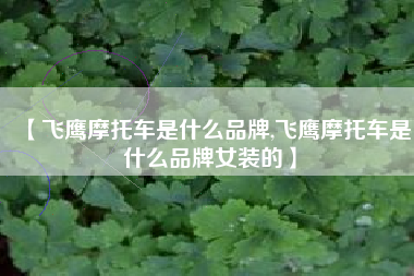 【飞鹰摩托车是什么品牌,飞鹰摩托车是什么品牌女装的】