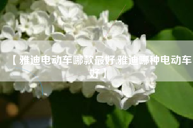 【雅迪电动车哪款最好,雅迪哪种电动车好】 【雅迪电动车哪款最好,雅迪哪种电动车好】