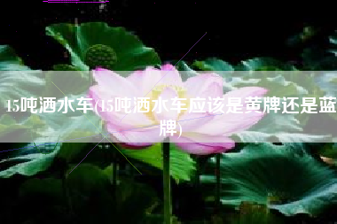 15吨洒水车(15吨洒水车应该是黄牌还是蓝牌)