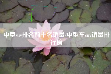 中型suv排名前十名销量/中型车suv销量排行榜