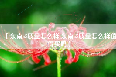 【东南a5质量怎么样,东南a5质量怎么样值得买吗】 【东南a5质量怎么样,东南a5质量怎么样值得买吗】