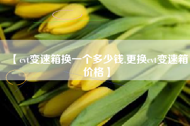 【cvt变速箱换一个多少钱,更换cvt变速箱价格】 【cvt变速箱换一个多少钱,更换cvt变速箱价格】