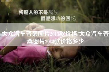 大众汽车普桑图片2013款价格/大众汽车普桑图片2013款价格多少 大众汽车普桑图片2013款价格/大众汽车普桑图片2013款价格多少