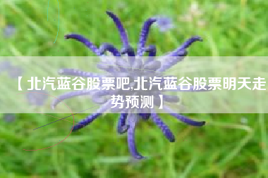 【北汽蓝谷股票吧,北汽蓝谷股票明天走势预测】 【北汽蓝谷股票吧,北汽蓝谷股票明天走势预测】