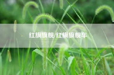 红旗旗舰/红旗旗舰车