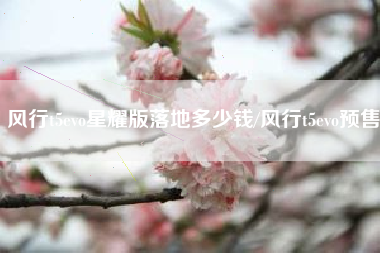 风行t5evo星耀版落地多少钱/风行t5evo预售 风行t5evo星耀版落地多少钱/风行t5evo预售