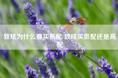 致炫为什么要买低配/致炫买低配还是高配 致炫为什么要买低配/致炫买低配还是高配