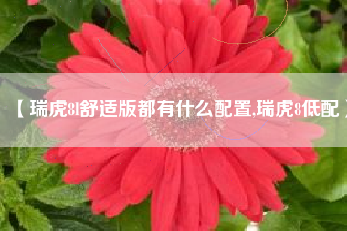 【瑞虎8l舒适版都有什么配置,瑞虎8低配】